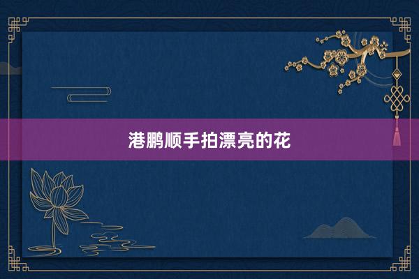 港鹏顺手拍漂亮的花